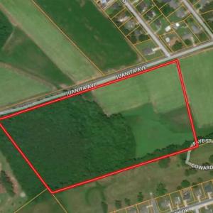 Photo of 17.1 Acres of Farm and Timber Land For Sale In Pitt County NC!