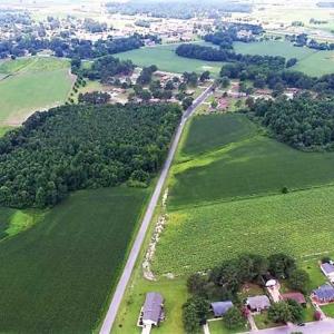 Photo of 17.1 Acres of Farm and Timber Land For Sale In Pitt County NC!