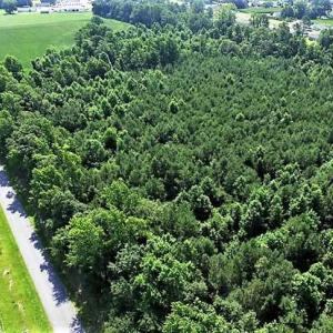 Photo of 17.1 Acres of Farm and Timber Land For Sale In Pitt County NC!