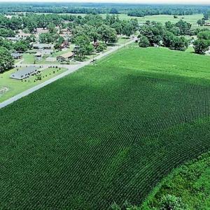 Photo of 17.1 Acres of Farm and Timber Land For Sale In Pitt County NC!