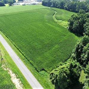 Photo of 17.1 Acres of Farm and Timber Land For Sale In Pitt County NC!