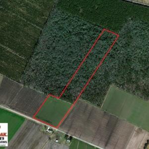 Photo of SOLD!  25 Acres of Farm and Timber Land For Sale in Perquimans County NC!