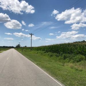Photo of SOLD!  25 Acres of Farm and Timber Land For Sale in Perquimans County NC!
