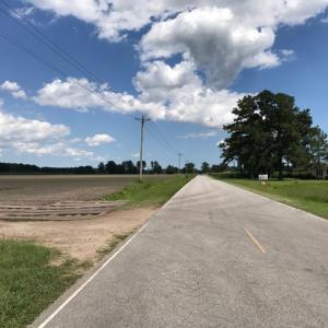 Photo of SOLD!  25 Acres of Farm and Timber Land For Sale in Perquimans County NC!