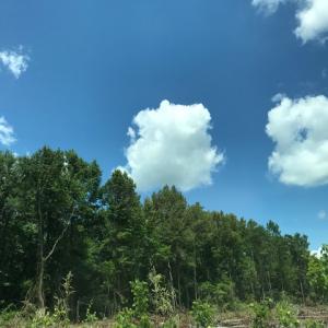 Photo of SOLD!  25 Acres of Farm and Timber Land For Sale in Perquimans County NC!
