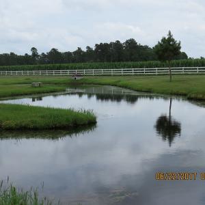 Photo of UNDER CONTRACT!  541.7 Acres of Farm and Hunting Land with Home For Sale in Columbus County NC!
