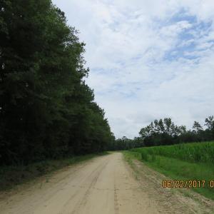 Photo of UNDER CONTRACT!  541.7 Acres of Farm and Hunting Land with Home For Sale in Columbus County NC!