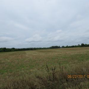 Photo of UNDER CONTRACT!  541.7 Acres of Farm and Hunting Land with Home For Sale in Columbus County NC!