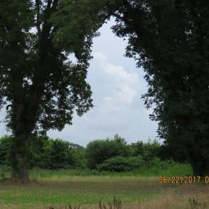 Photo of UNDER CONTRACT!  541.7 Acres of Farm and Hunting Land with Home For Sale in Columbus County NC!