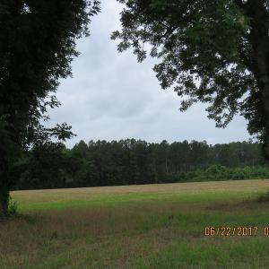 Photo of UNDER CONTRACT!  541.7 Acres of Farm and Hunting Land with Home For Sale in Columbus County NC!