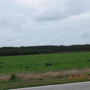 Photo of UNDER CONTRACT!  541.7 Acres of Farm and Hunting Land with Home For Sale in Columbus County NC!