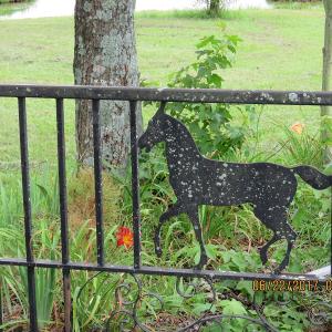 Photo of UNDER CONTRACT!  541.7 Acres of Farm and Hunting Land with Home For Sale in Columbus County NC!