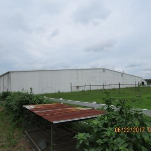 Photo of UNDER CONTRACT!  541.7 Acres of Farm and Hunting Land with Home For Sale in Columbus County NC!