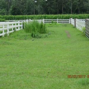 Photo of UNDER CONTRACT!  541.7 Acres of Farm and Hunting Land with Home For Sale in Columbus County NC!
