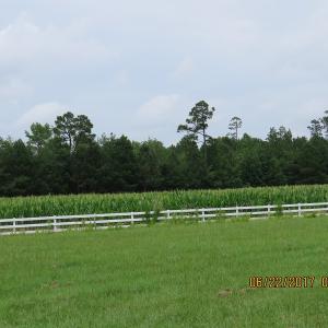 Photo of UNDER CONTRACT!  541.7 Acres of Farm and Hunting Land with Home For Sale in Columbus County NC!