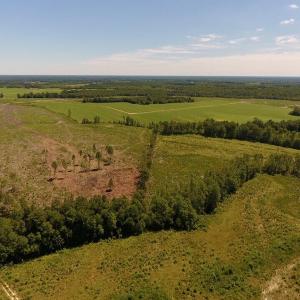 Photo of UNDER CONTRACT!  165 Acres of Farm and Hunting Land For Sale in Suffolk VA!