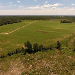 Photo of UNDER CONTRACT!  165 Acres of Farm and Hunting Land For Sale in Suffolk VA!