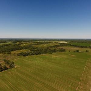 Photo of UNDER CONTRACT!  165 Acres of Farm and Hunting Land For Sale in Suffolk VA!