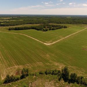 Photo of UNDER CONTRACT!  165 Acres of Farm and Hunting Land For Sale in Suffolk VA!