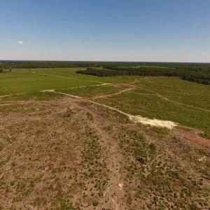 Photo of UNDER CONTRACT!  165 Acres of Farm and Hunting Land For Sale in Suffolk VA!