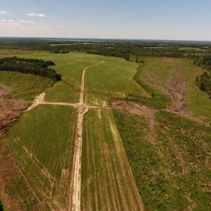 Photo of UNDER CONTRACT!  165 Acres of Farm and Hunting Land For Sale in Suffolk VA!