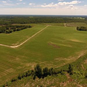 Photo of UNDER CONTRACT!  165 Acres of Farm and Hunting Land For Sale in Suffolk VA!