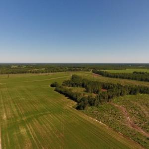 Photo of UNDER CONTRACT!  165 Acres of Farm and Hunting Land For Sale in Suffolk VA!