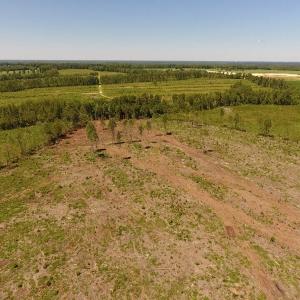 Photo of UNDER CONTRACT!  165 Acres of Farm and Hunting Land For Sale in Suffolk VA!