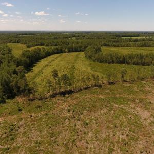 Photo of UNDER CONTRACT!  165 Acres of Farm and Hunting Land For Sale in Suffolk VA!