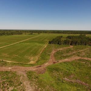 Photo of UNDER CONTRACT!  165 Acres of Farm and Hunting Land For Sale in Suffolk VA!