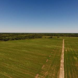 Photo of UNDER CONTRACT!  165 Acres of Farm and Hunting Land For Sale in Suffolk VA!