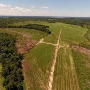 Photo of UNDER CONTRACT!  165 Acres of Farm and Hunting Land For Sale in Suffolk VA!