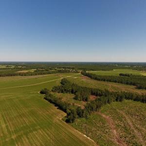 Photo of UNDER CONTRACT!  165 Acres of Farm and Hunting Land For Sale in Suffolk VA!