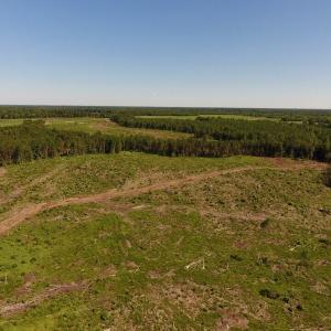 Photo of UNDER CONTRACT!  165 Acres of Farm and Hunting Land For Sale in Suffolk VA!