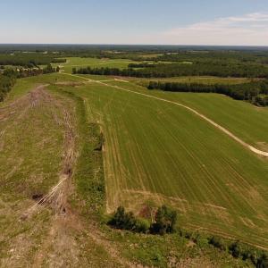 Photo of UNDER CONTRACT!  165 Acres of Farm and Hunting Land For Sale in Suffolk VA!