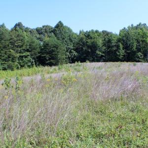 Photo of UNDER CONTRACT!  55.86 Acres of Recreational and Hunting Land For Sale in Goochland County VA!