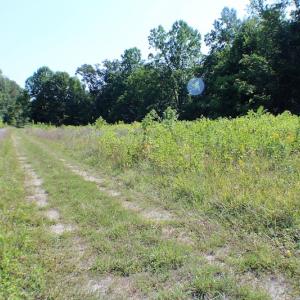 Photo of UNDER CONTRACT!  55.86 Acres of Recreational and Hunting Land For Sale in Goochland County VA!