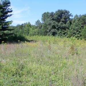 Photo of UNDER CONTRACT!  55.86 Acres of Recreational and Hunting Land For Sale in Goochland County VA!