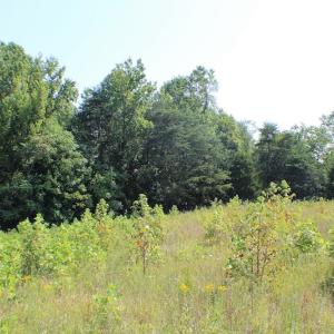 Photo of UNDER CONTRACT!  55.86 Acres of Recreational and Hunting Land For Sale in Goochland County VA!