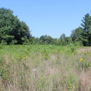 Photo of UNDER CONTRACT!  55.86 Acres of Recreational and Hunting Land For Sale in Goochland County VA!