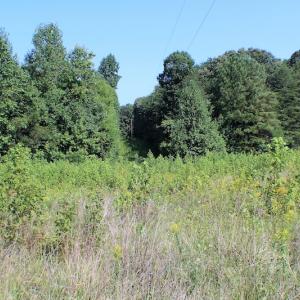 Photo of UNDER CONTRACT!  55.86 Acres of Recreational and Hunting Land For Sale in Goochland County VA!