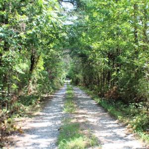 Photo of UNDER CONTRACT!  55.86 Acres of Recreational and Hunting Land For Sale in Goochland County VA!