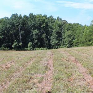 Photo of UNDER CONTRACT!  55.86 Acres of Recreational and Hunting Land For Sale in Goochland County VA!