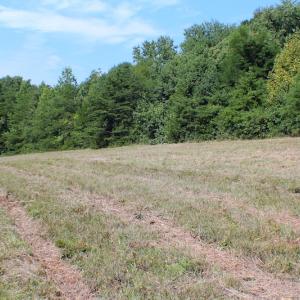 Photo of UNDER CONTRACT!  55.86 Acres of Recreational and Hunting Land For Sale in Goochland County VA!