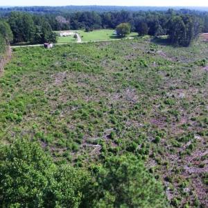 Photo of UNDER CONTRACT!  9.44 Acres of Hunting and Recreational Land For Sale in Lunenburg County VA!