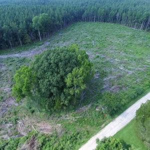 Photo of UNDER CONTRACT!  9.44 Acres of Hunting and Recreational Land For Sale in Lunenburg County VA!