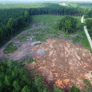 Photo of UNDER CONTRACT!  9.44 Acres of Hunting and Recreational Land For Sale in Lunenburg County VA!