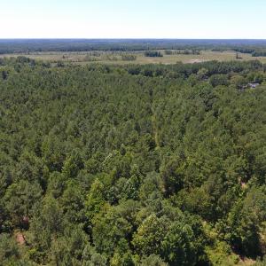 Photo of UNDER CONTRACT!  51.44 Acres of Hunting and Timber Land For Sale in Halifax County NC!
