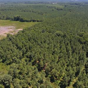 Photo of UNDER CONTRACT!  51.44 Acres of Hunting and Timber Land For Sale in Halifax County NC!