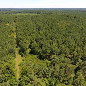 Photo of UNDER CONTRACT!  51.44 Acres of Hunting and Timber Land For Sale in Halifax County NC!